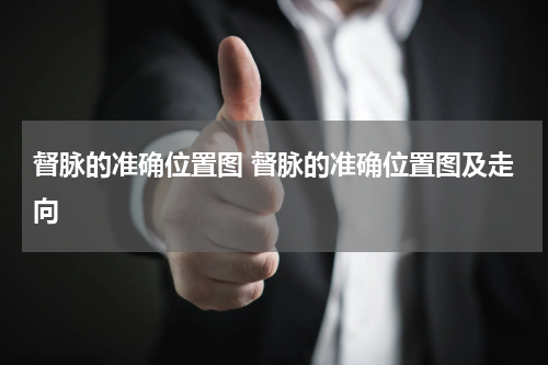 督脉的准确位置图 督脉的准确位置图及走向