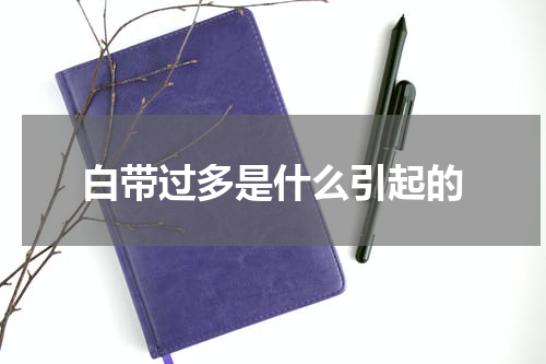 白带过多是什么引起的