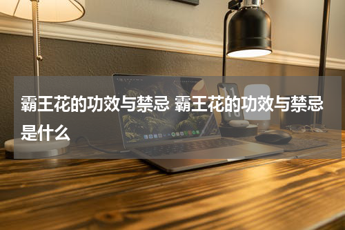 霸王花的功效与禁忌 霸王花的功效与禁忌是什么