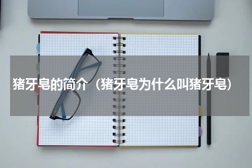 猪牙皂的简介（猪牙皂为什么叫猪牙皂）