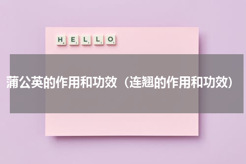 蒲公英的作用和功效（连翘的作用和功效）