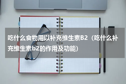 吃什么食物用以补充维生素B2（吃什么补充维生素b2的作用及功能）