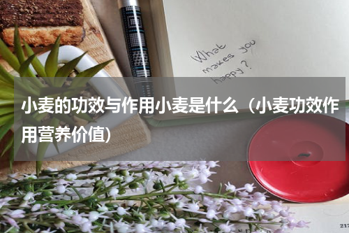 小麦的功效与作用小麦是什么（小麦功效作用营养价值）