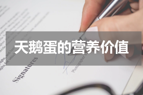 天鹅蛋的营养价值