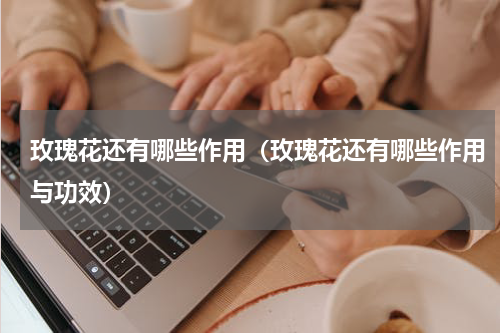 玫瑰花还有哪些作用（玫瑰花还有哪些作用与功效）