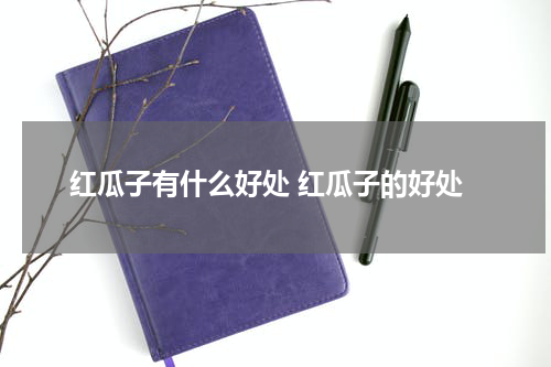 红瓜子有什么好处 红瓜子的好处