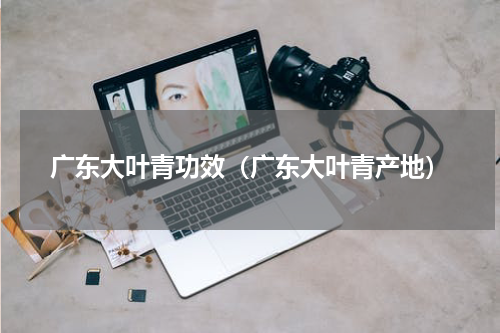 广东大叶青功效（广东大叶青产地）