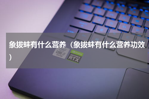 象拔蚌有什么营养（象拔蚌有什么营养功效）