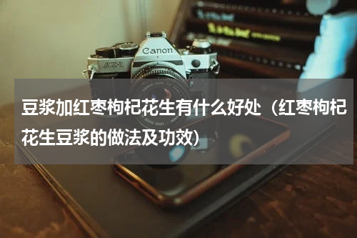 豆浆加红枣枸杞花生有什么好处（红枣枸杞花生豆浆的做法及功效）