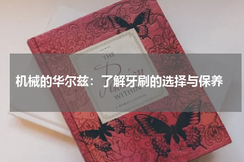  机械的华尔兹：了解牙刷的选择与保养