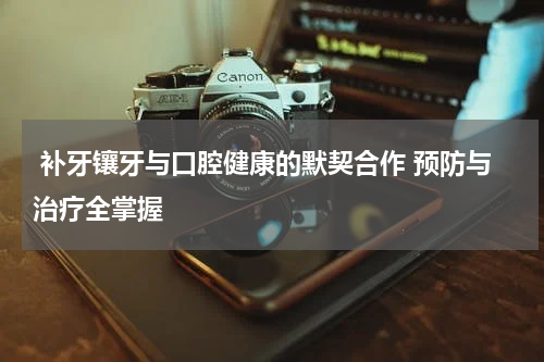  补牙镶牙与口腔健康的默契合作 预防与治疗全掌握