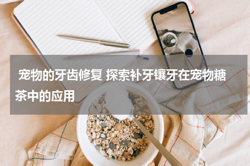 宠物的牙齿修复 探索补牙镶牙在宠物糖茶中的应用