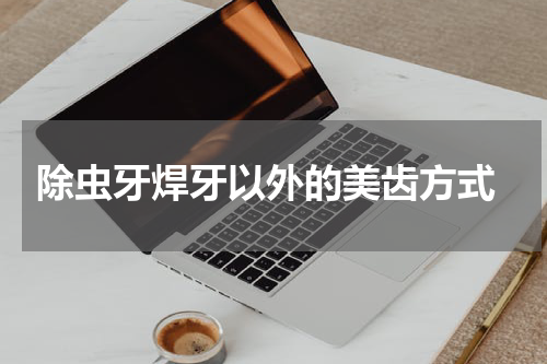  除虫牙焊牙以外的美齿方式