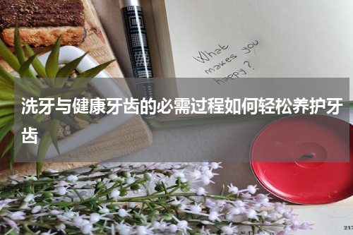 洗牙与健康牙齿的必需过程如何轻松养护牙齿