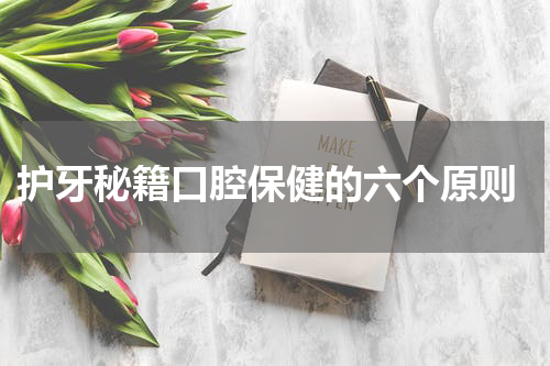  护牙秘籍口腔保健的六个原则