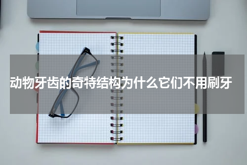  动物牙齿的奇特结构为什么它们不用刷牙