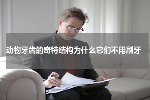  动物牙齿的奇特结构为什么它们不用刷牙