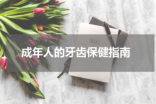  成年人的牙齿保健指南