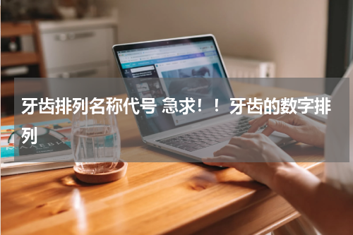 牙齿排列名称代号 急求！！牙齿的数字排列