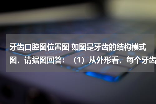 牙齿口腔图位置图 如图是牙齿的结构模式图，请据图回答：（1）从外形看，每个牙齿可分为三部分：即______、______和______