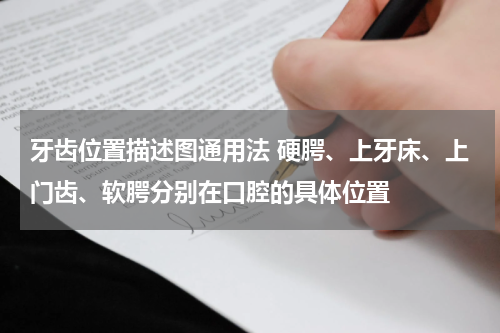 牙齿位置描述图通用法 硬腭、上牙床、上门齿、软腭分别在口腔的具体位置