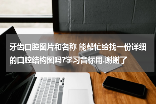 牙齿口腔图片和名称 能帮忙给找一份详细的口腔结构图吗?学习音标用.谢谢了
