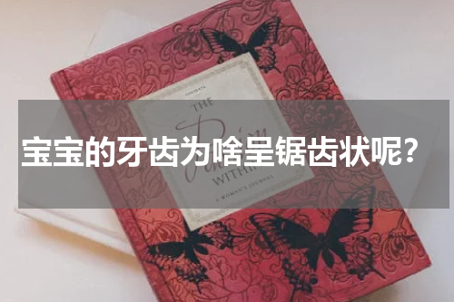 宝宝的牙齿为啥呈锯齿状呢？