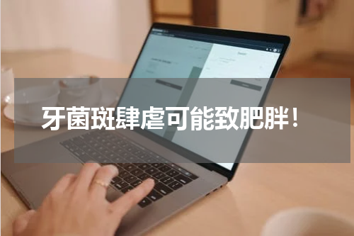 牙菌斑肆虐可能致肥胖！