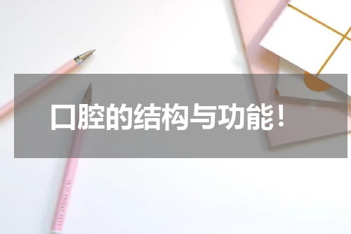 口腔的结构与功能！