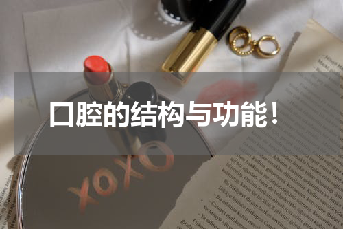 口腔的结构与功能！