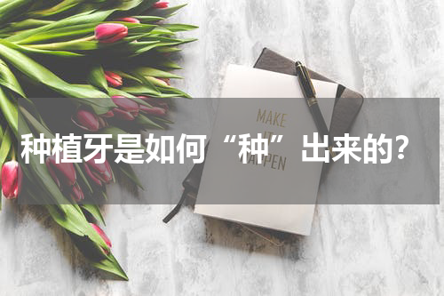 种植牙是如何“种”出来的？
