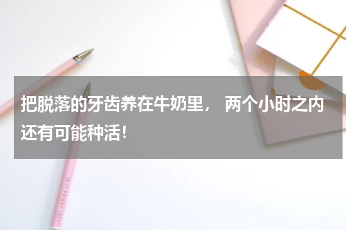 把脱落的牙齿养在牛奶里， 两个小时之内还有可能种活！